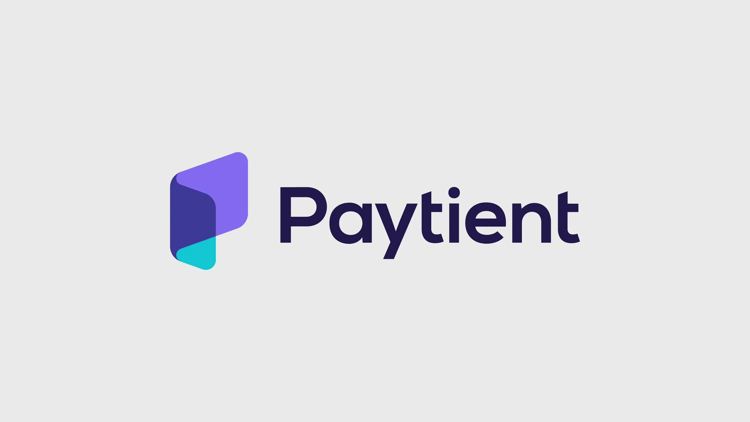 Paytient Healthcare Fintech Branding, image 6