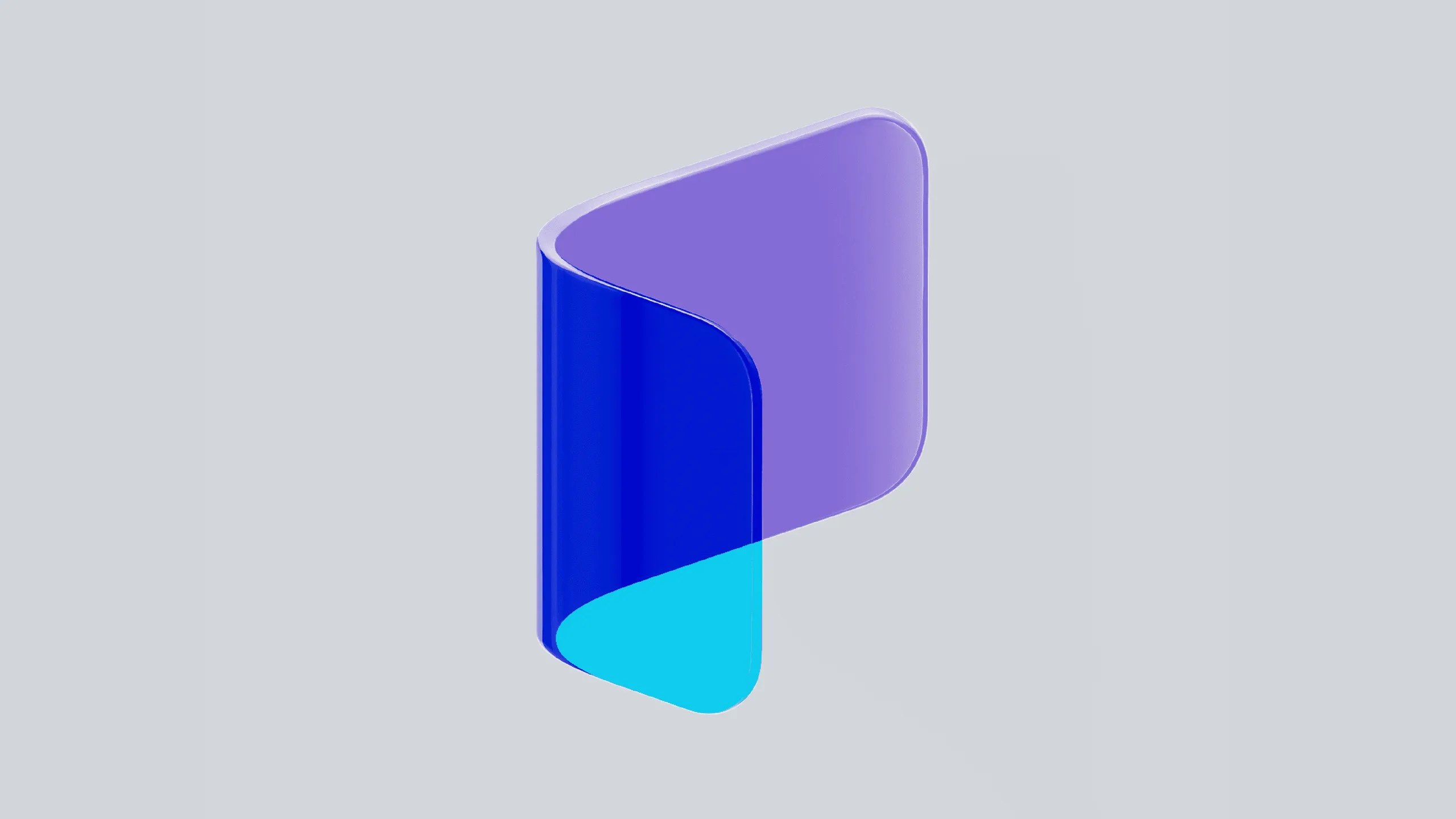 Paytient Healthcare Fintech Branding, image 4
