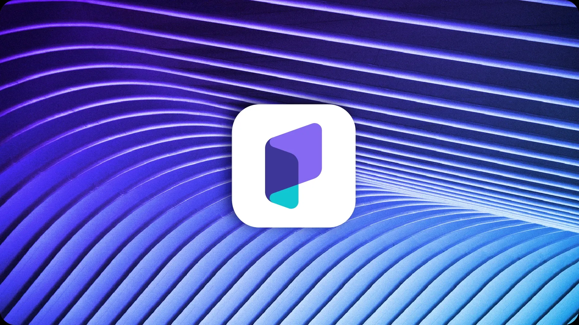 Paytient Healthcare Fintech Branding, image 7